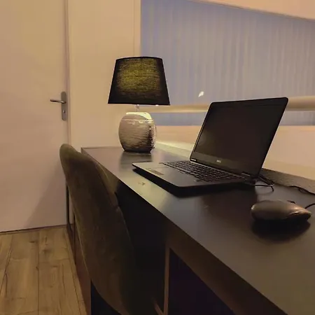 Superbe Cosy Duplex T3 Charpenne Tete D'or Avec Parking Prive Gratuit