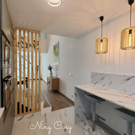 Superbe Cosy Duplex T3 Charpenne Tete D'or Avec Parking Prive Gratuit アパート ビユールバンヌ