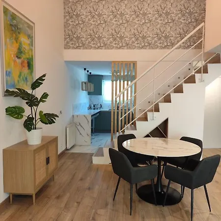 Superbe Cosy Duplex T3 Charpenne Tete D'or Avec Parking Prive Gratuit Apartment Villeurbanne
