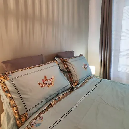 Superbe Cosy Duplex T3 Charpenne Tete D'or Avec Parking Prive Gratuit