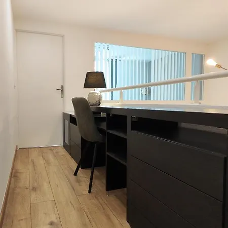 Superbe Cosy Duplex T3 Charpenne Tete D'or Avec Parking Prive Gratuit * Villeurbanne