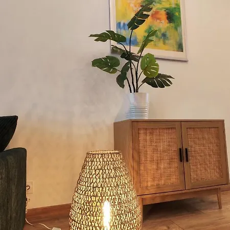 Superbe Cosy Duplex T3 Charpenne Tete D'or Avec Parking Prive Gratuit Villeurbanne