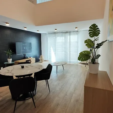Apartment Superbe Cosy Duplex T3 Charpenne Tete D'or Avec Parking Prive Gratuit *